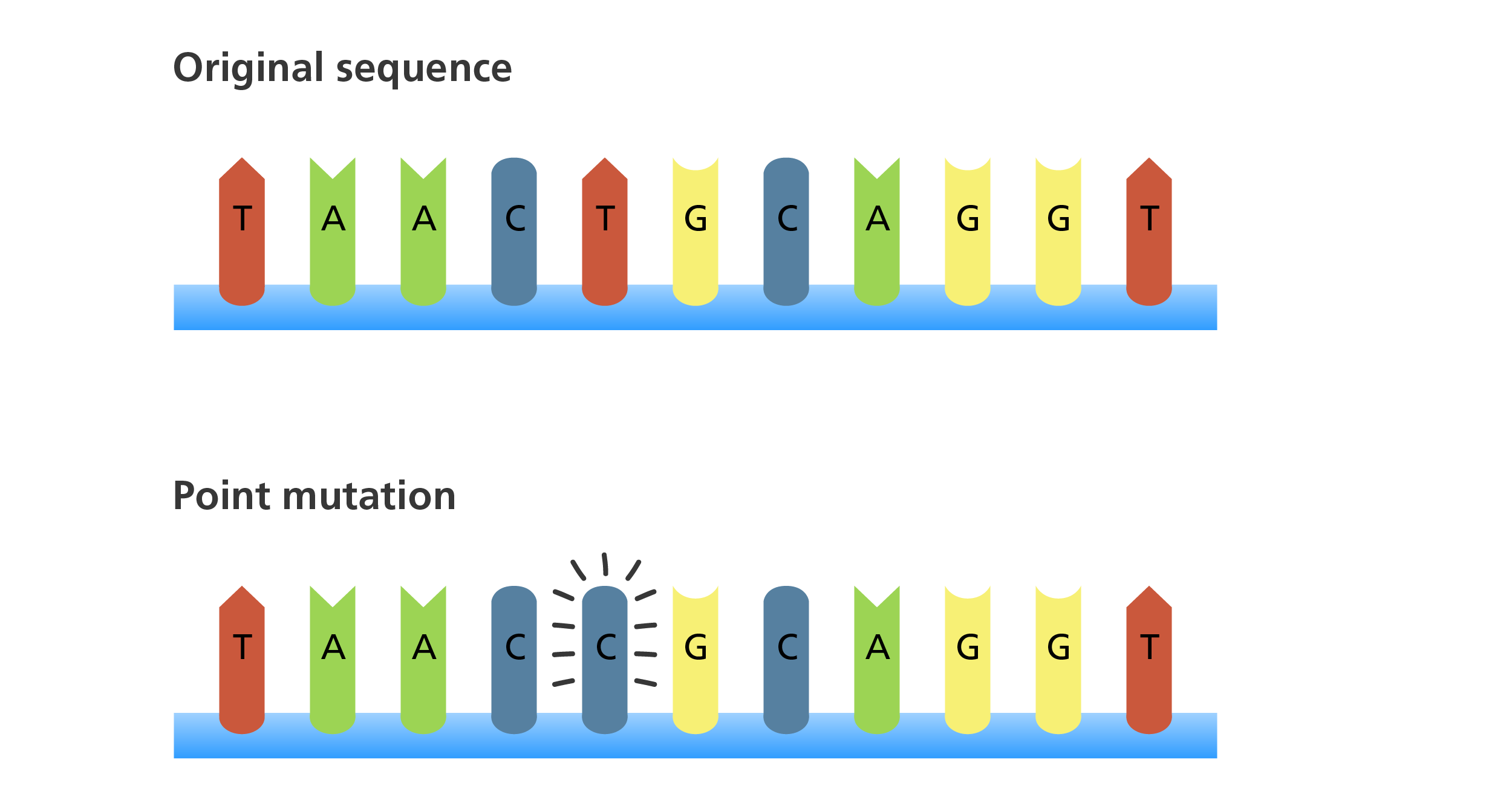 Post Slide Preview